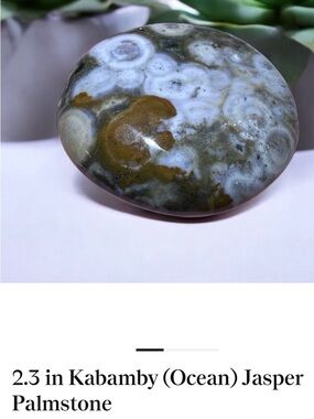 Polished Ocean Jasper Decorative Palm Stone - Green and White